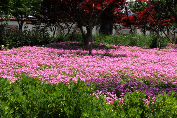 1522835210164958.jpg IMG_0915.JPG